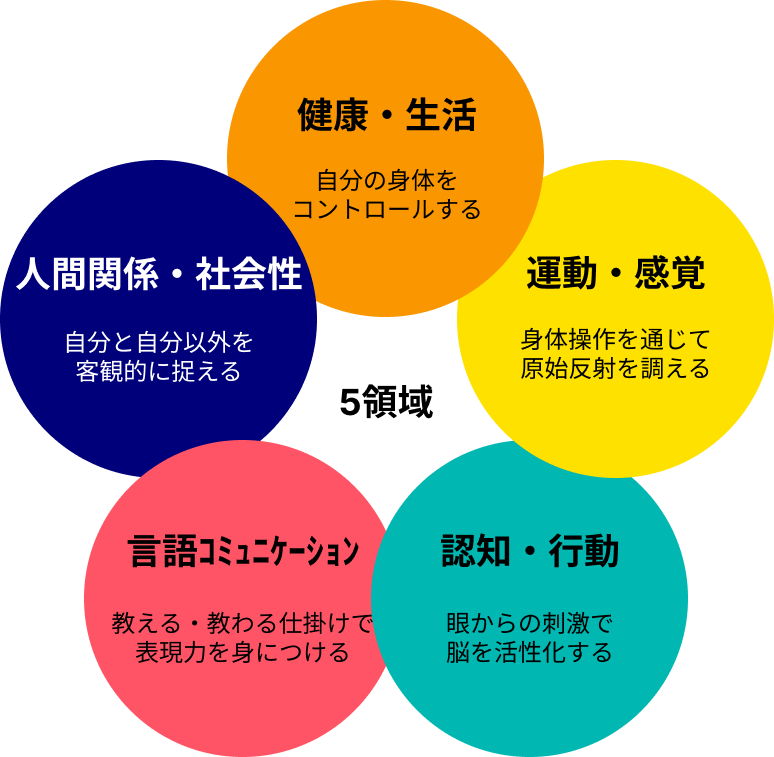 どりーむ
